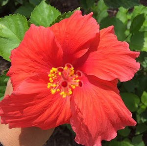 Meet your Posher, Karina